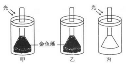 某生物興趣小組為探究綠色植物的 光合作用和呼吸作用,設(shè)計(jì)了如下實(shí)驗(yàn)裝置.請(qǐng)分析作答: (1) 若要探究光是光合作用的必要條件.應(yīng)該選擇的實(shí)驗(yàn)裝置組合是 .若要探究氧氣是由綠色植物在光下產(chǎn)生的.應(yīng)該選擇的實(shí)驗(yàn)裝置組合是 .(2) 甲裝置試管中收集的氣體可以使帶火星的衛(wèi)生香復(fù)燃.說(shuō)明綠色植物的光合作用釋放出 .(3) 有同學(xué)利用甲裝置進(jìn)行了進(jìn)一步探究,實(shí)驗(yàn)題目和參考答案-