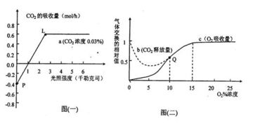 在一定實(shí)驗(yàn)條件下.測(cè)得某綠色植物的光合作用和細(xì)胞呼吸分別如圖所示.用32p標(biāo)記的礦質(zhì)營(yíng)養(yǎng)液培養(yǎng)某植物幼苗一段時(shí)間后.在根細(xì)胞中檢測(cè)和推斷32p的累積量.吸收量和運(yùn)輸量如圖