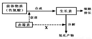 下列關(guān)于細(xì)胞結(jié)構(gòu)和功能的敘述中.錯(cuò)誤的是a.植物葉肉細(xì)胞線粒體基質(zhì)中的co2可以直接穿越8層磷脂分子參與光合作用過(guò)程b.細(xì)胞內(nèi)的atp不一定都在生物膜上合成c.葉綠體中基粒和類(lèi)囊體擴(kuò)展了捕獲光能的膜面積