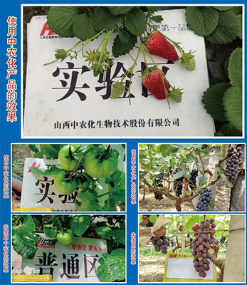 【產(chǎn)品推薦】改良土壤、預(yù)防病害,就選硅鈣鎂中微肥系列